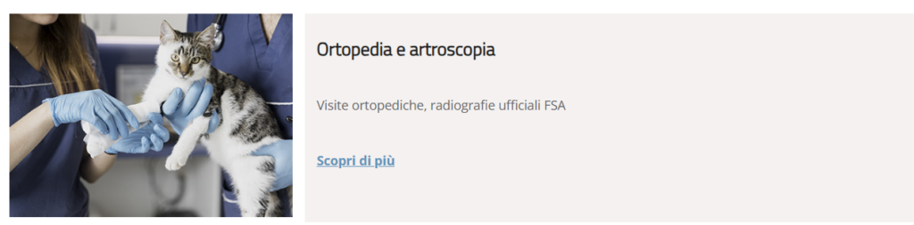 ortopedia veterinaria